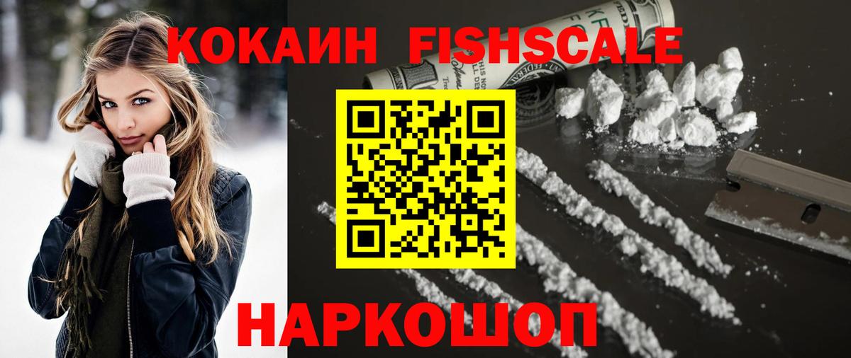 купить закладку  COCAIN  Горячий Ключ  COCAIN Fish Scale 