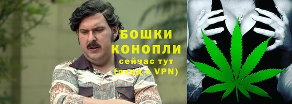 Альфа ПВП Богородицк