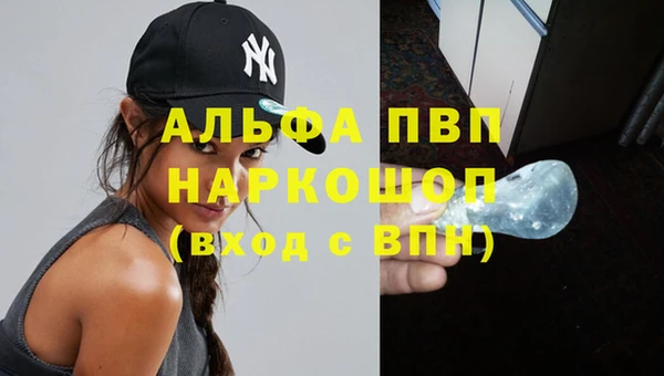 спиды Богородск