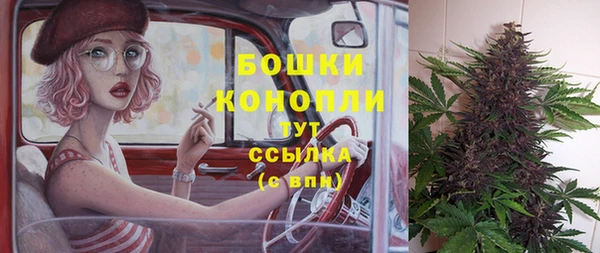 спиды Богородск