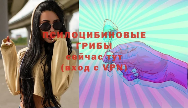 Альфа ПВП Богородицк