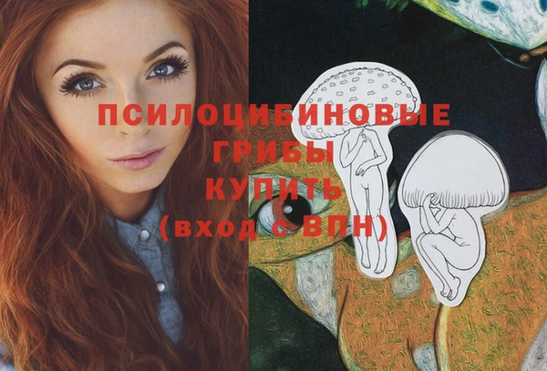прущая мука Елабуга
