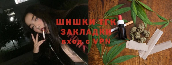 спиды Богородск