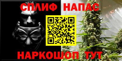 mdpv Гатчина