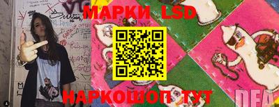 индика Гагарин
