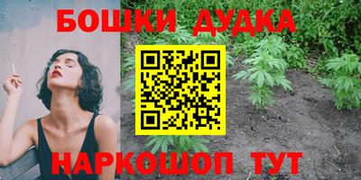 индика Гагарин