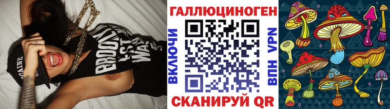 Галлюциногенные грибы Psilocybine cubensis Горячий Ключ