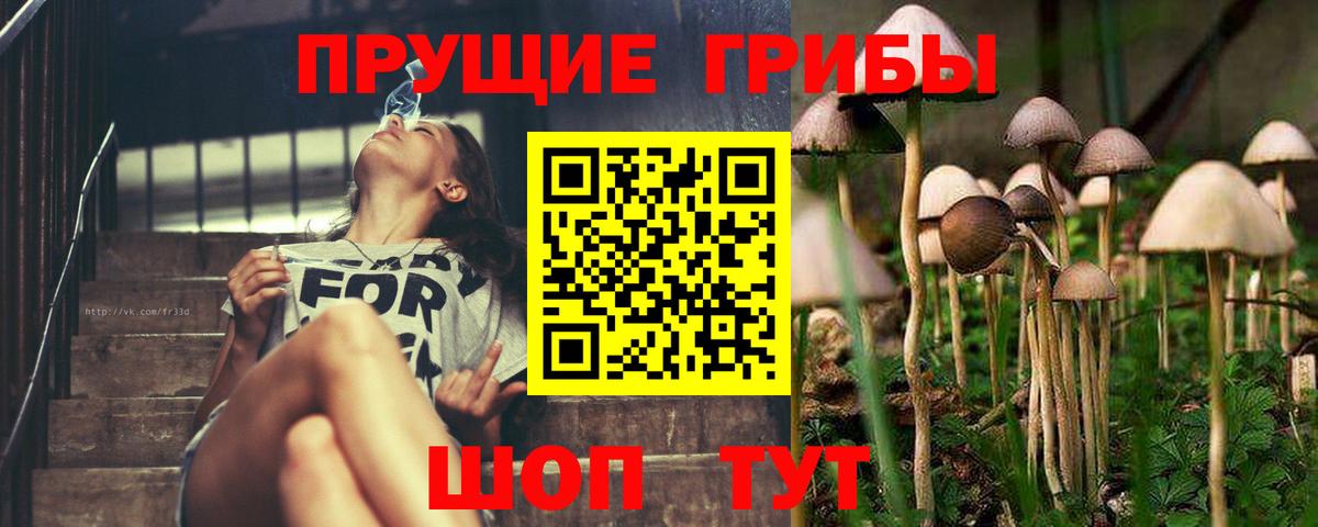 Псилоцибиновые грибы прущие грибы  Горячий Ключ 