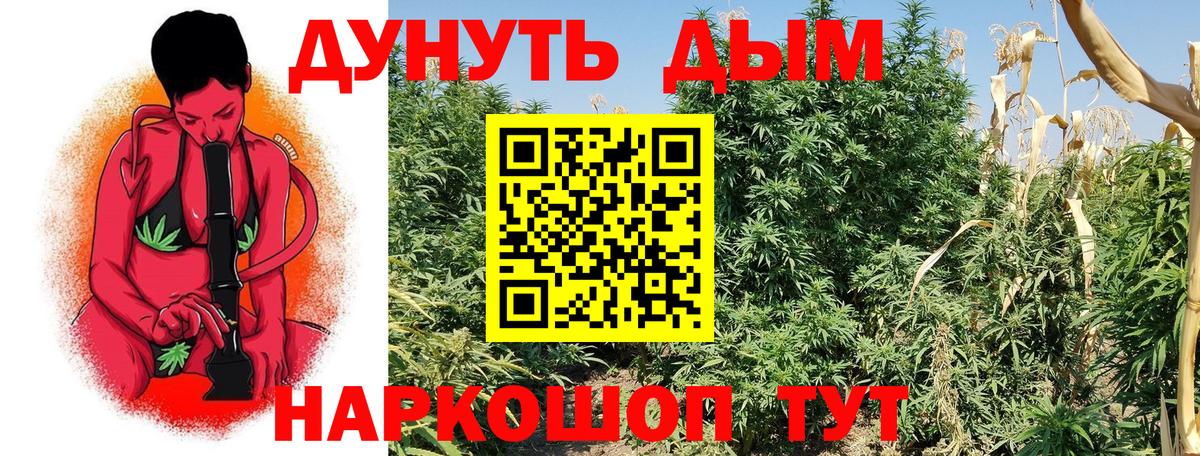 Бошки Шишки Bruce Banner Горячий Ключ